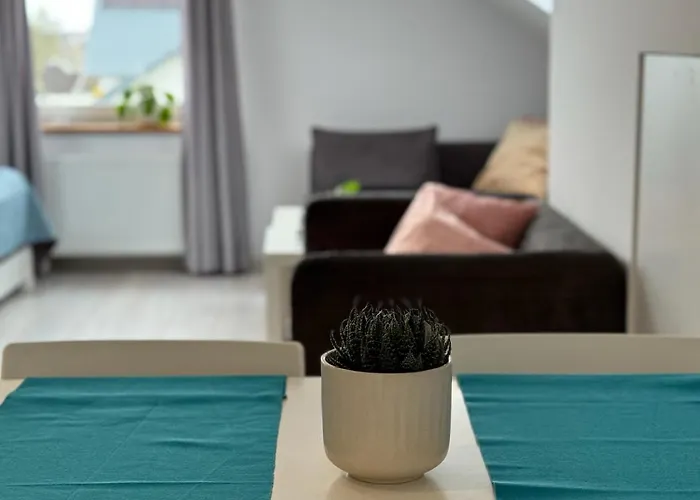 Morza Brzeg Chlapowo Władysławowo