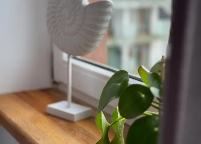 Morza Brzeg Chlapowo 招待所