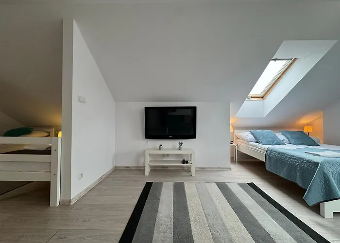 Morza Brzeg Chlapowo Władysławowo